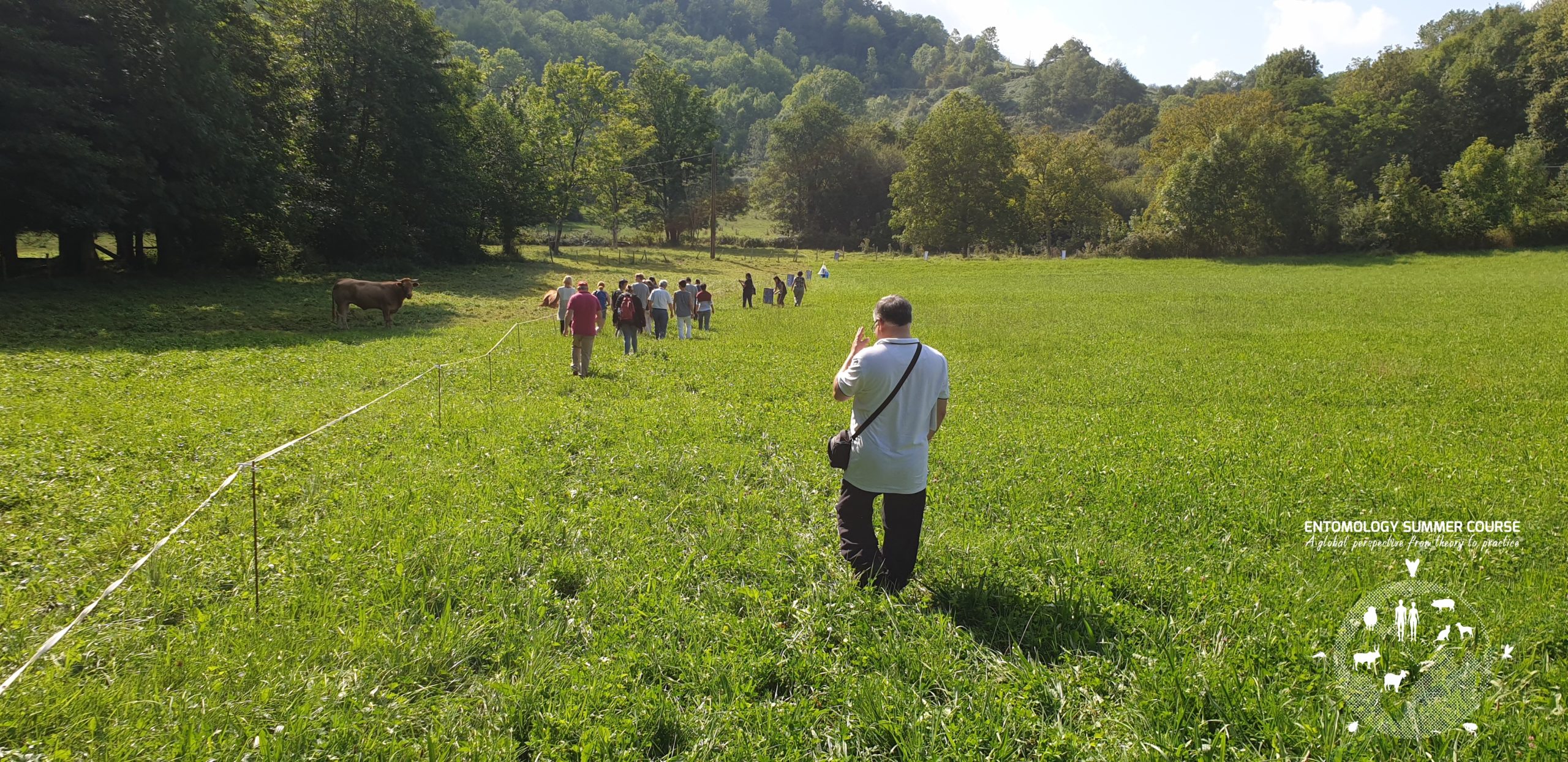 Laboratory and field work - Entomology Summer Course