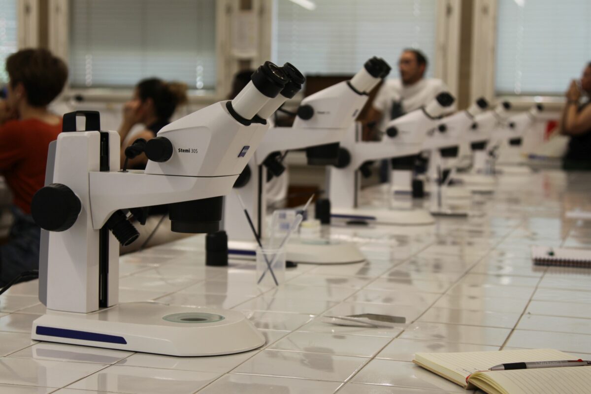 Laboratory and field work - Entomology Summer Course